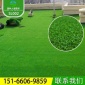 晟林人造草坪 厂家 休闲场所户外景观人工草坪**草皮地毯